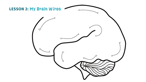 My Brain Wires